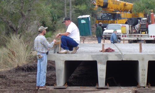 Building a Bridge Across the Salt Marsh